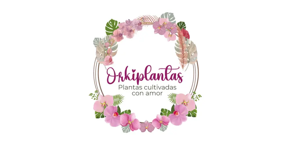 Mesa de trabajo 16 copia-13